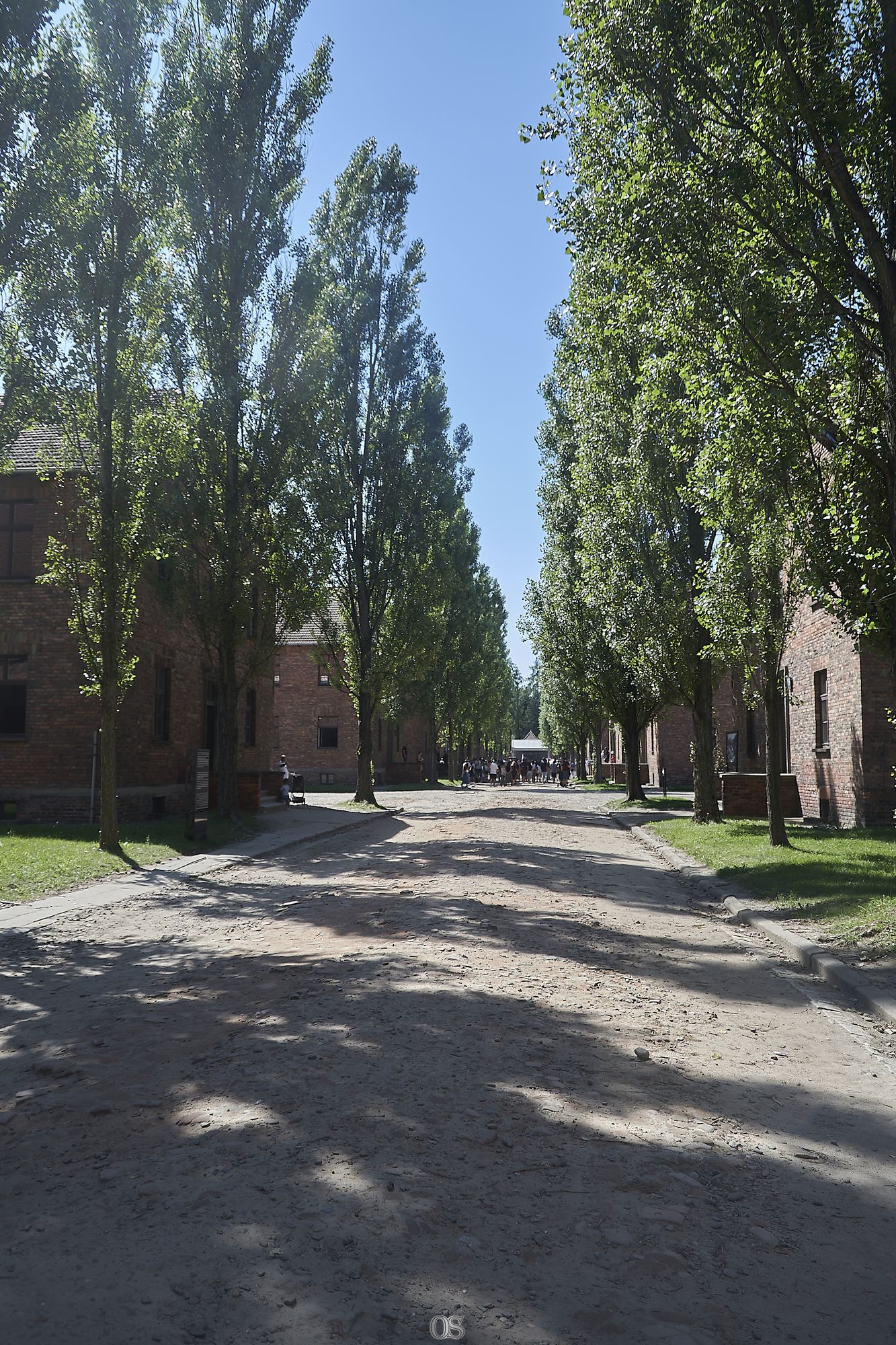 Auschwitz 7.jpg